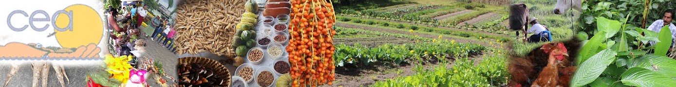 COORDINADORA ECUATORIANA DE AGROECOLOGIA