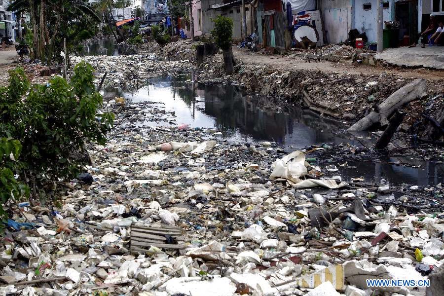 Hoanh Le WATER POLLUTION IN VIETNAM