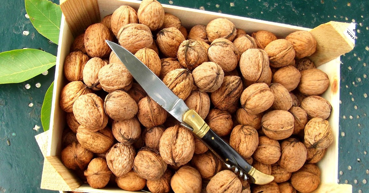 Magnon's Meanderings Walnut season.