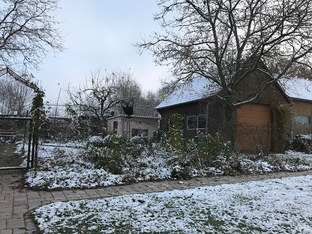 Staudenbeet, Winter, winterliches Staudenbeet Staudenbeet, Winter, winterliches Staudenbeet
