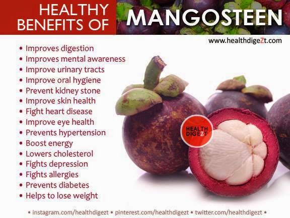 vita plus mangosteen benefits