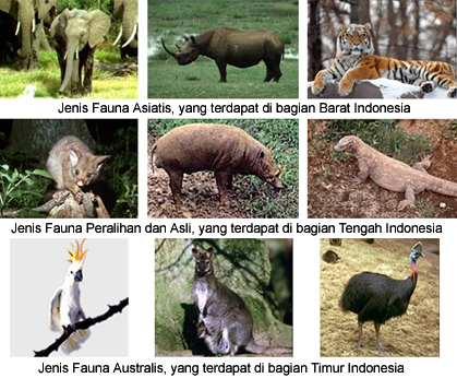 Jenis Fauna  Hewan di Indonesia  dan Persebarannya