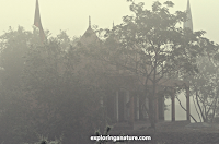 Temple at Sundarban National Park