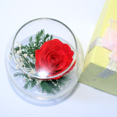Hoa sinh nhât - 1 bông hoa hồng