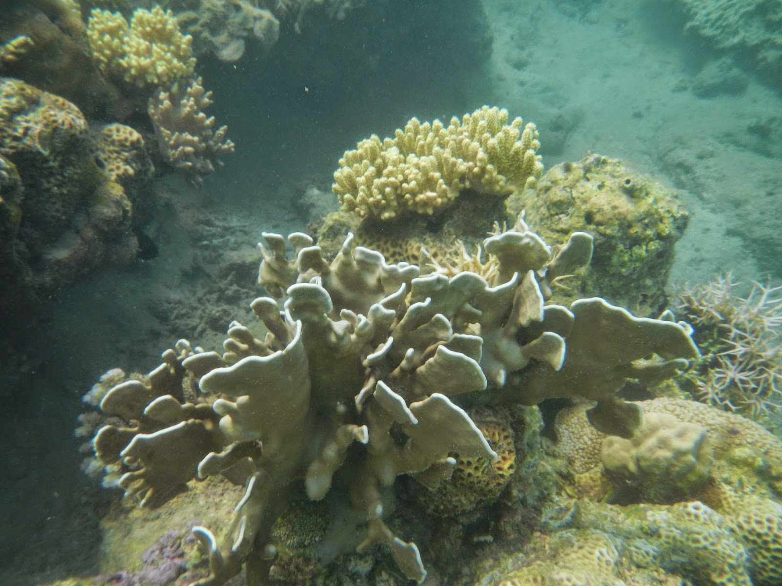 Pesona Wisata Kota Bima