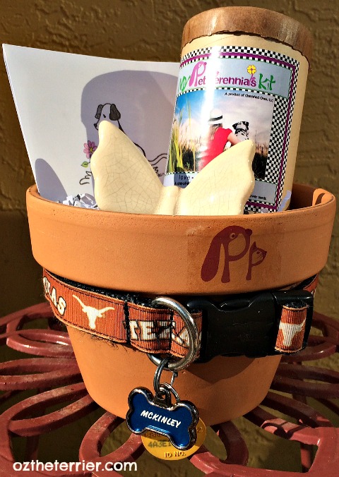 Oz Pet Memorial Gift DIY project with Pet Perennials kit