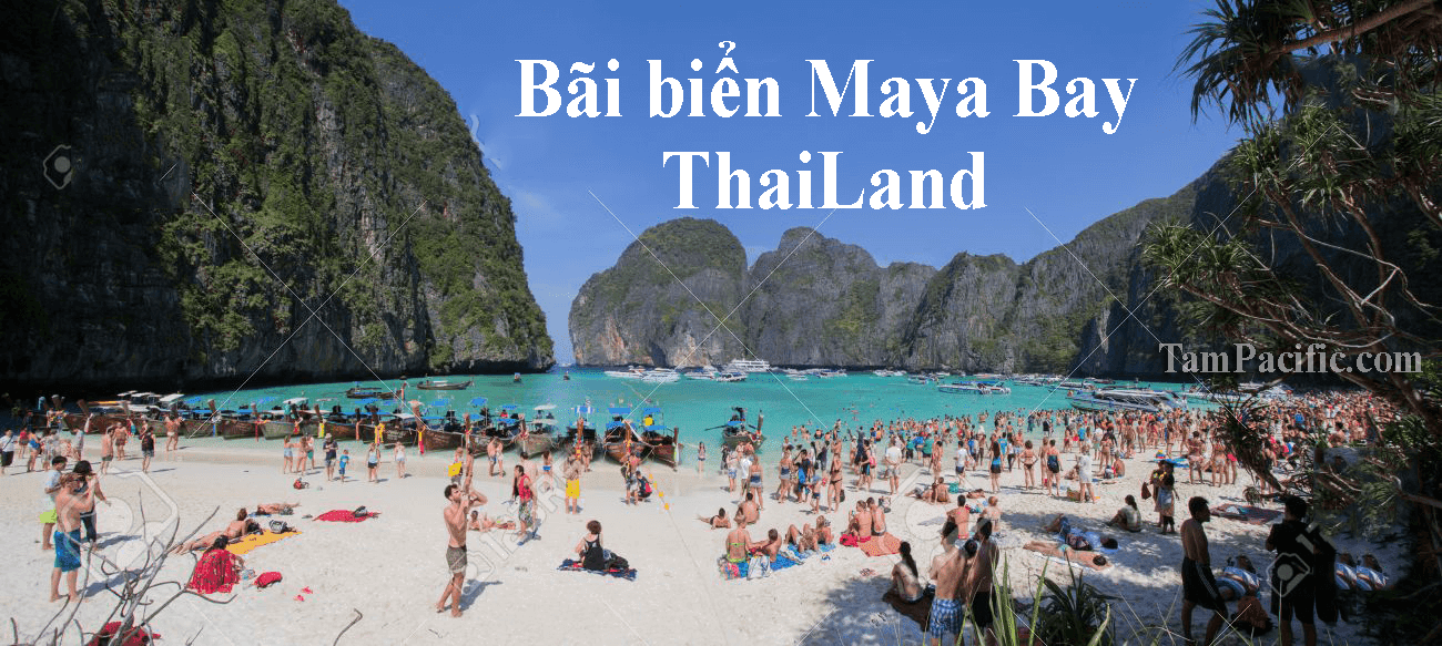 Có thể đóng cửa bãi biển Maya Bay của Thái Lan vô thời hạn để hồi phục Có thể đóng cửa bãi biển Maya Bay của Thái Lan vô thời hạn để hồi phục
