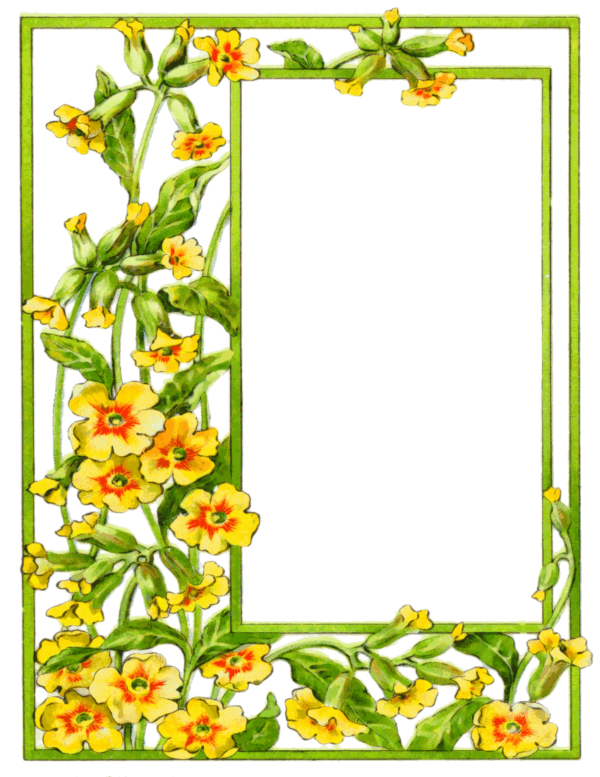 clipart flower frame - photo #27