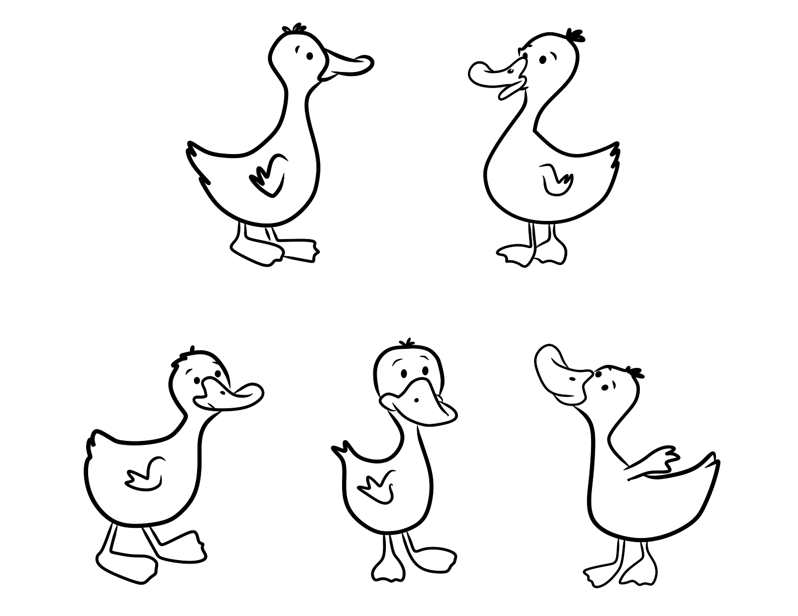 mallard ducks coloring pages - photo #33