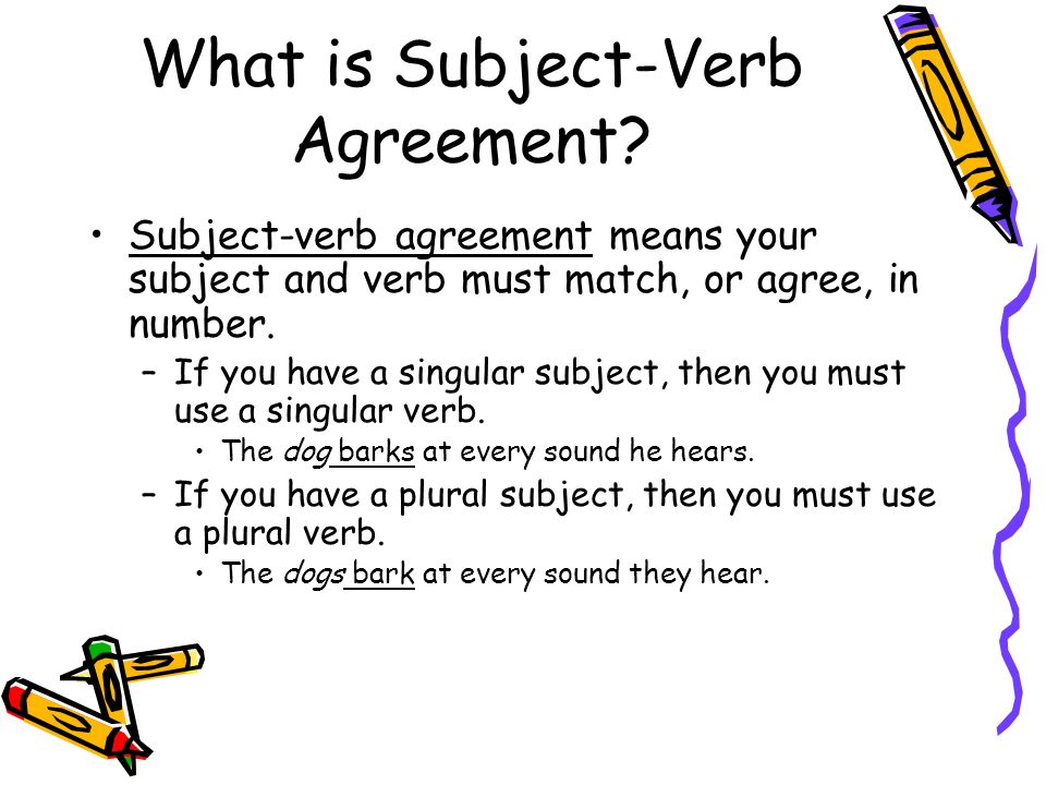 assignment subject verb agreement