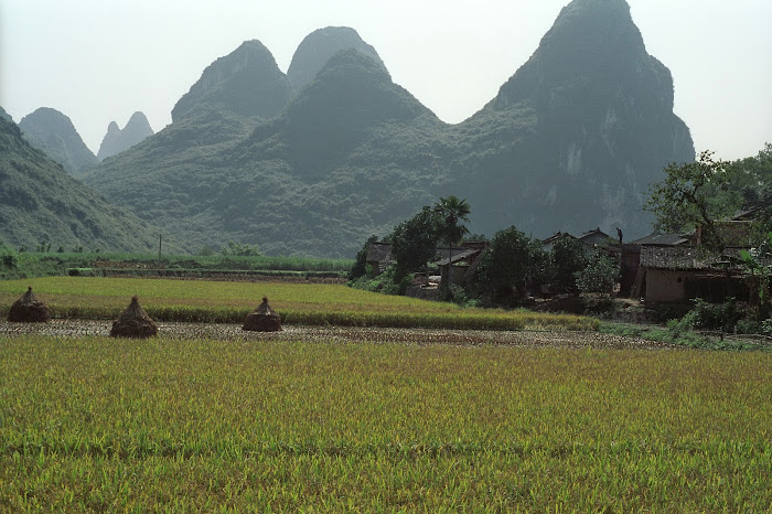 Yangshuo, rizières, © L. Gigout, 1990