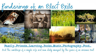 Ponderings of an Elect Exile