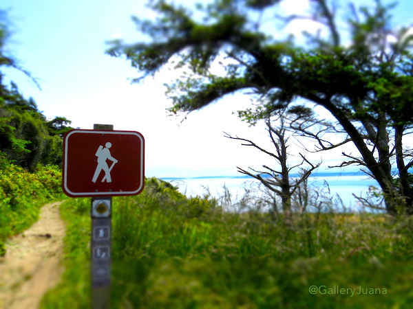 beach hiking trail, Ft. Ebey, whidbey island beach hiking trail, Ft. Ebey