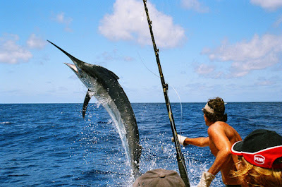 Cabos San Lucas Sport Fishing