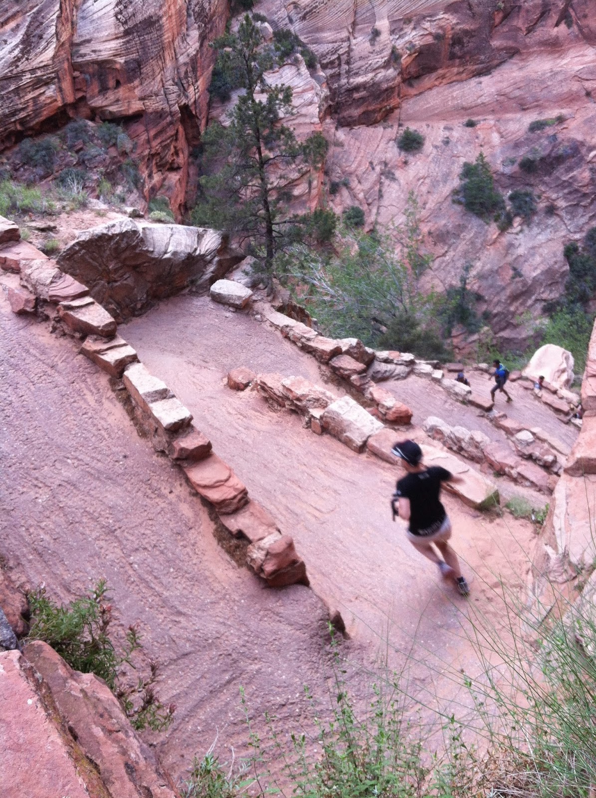 Fiction Running: Bryce 100 - 