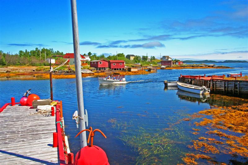 Keith Nicol Adventures The Eastport Peninsula offers a big variety of