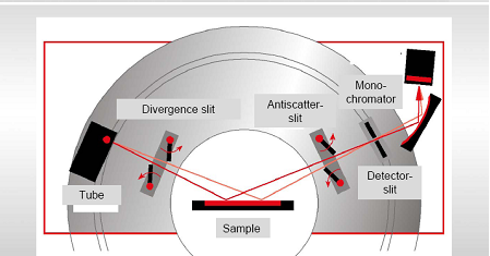 Phd dissertation picture