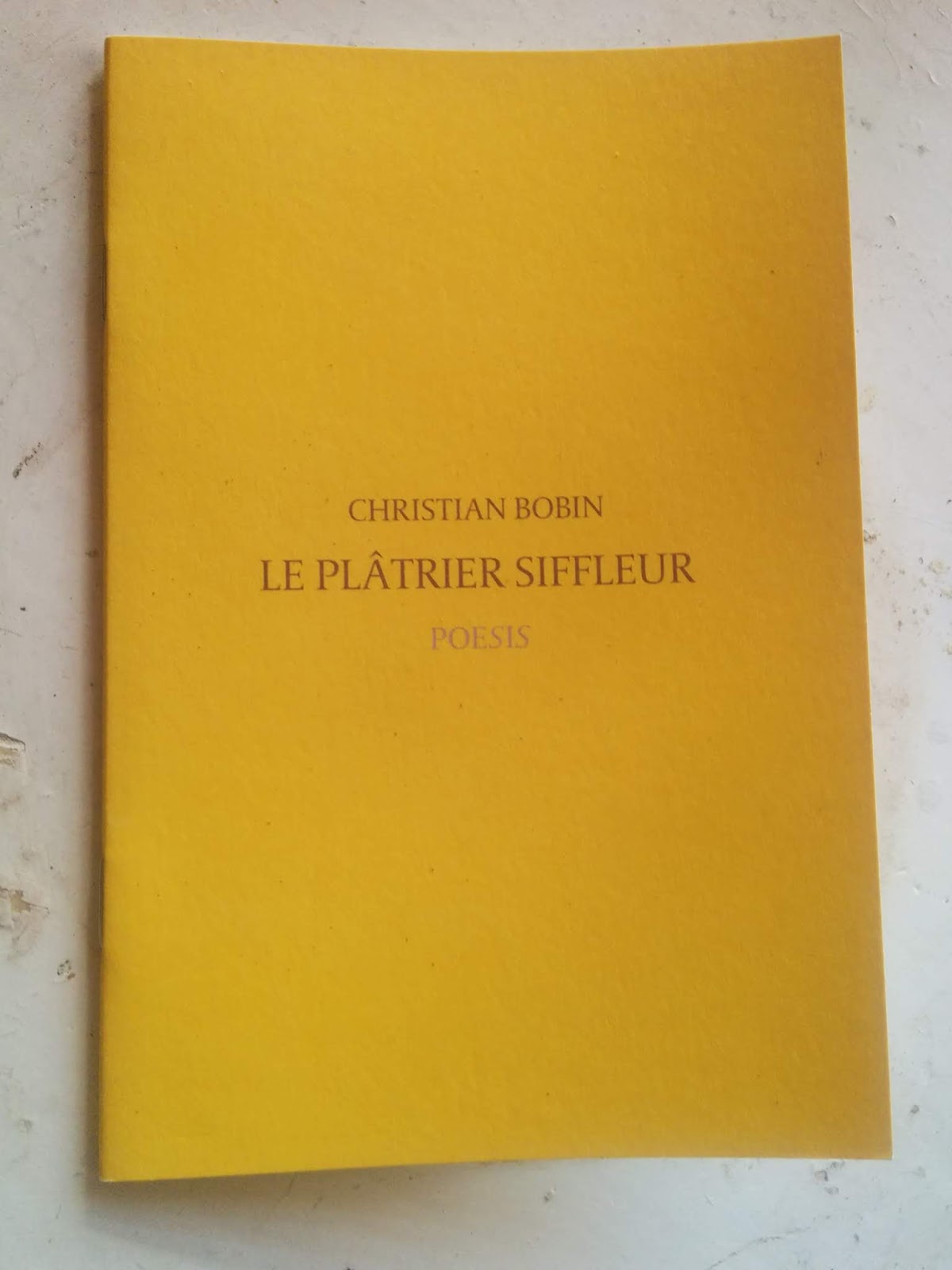 Denis Morin, auteur: Le plâtrier siffleur de Christian Bobin