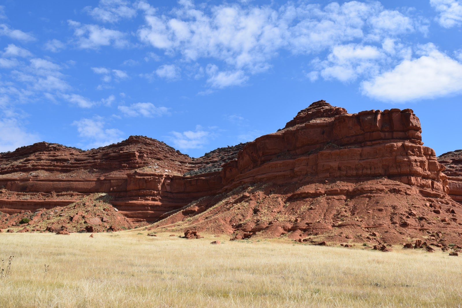Happileerving Kaycee Wyoming An Unexpected Adventure