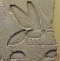 jeroglifico egipcio jeroglifico abeja