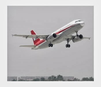 Pelea pareja en avion