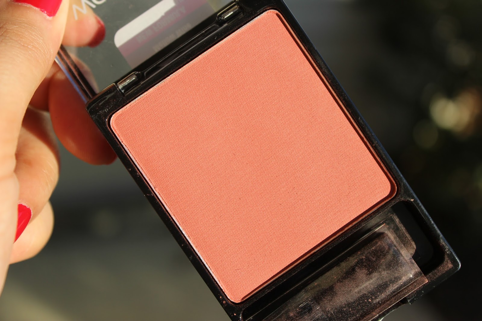 NEW Wet N Wild Coloricon Blush in Mellow Wine Review & Swatches.