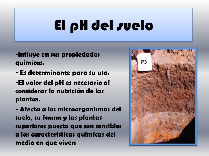 Ecoescuelas I.E.S. Alonso de Ercilla (Ocaña)