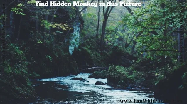 Test Your Observation Skills: Hidden Animal Picture Puzzle-2