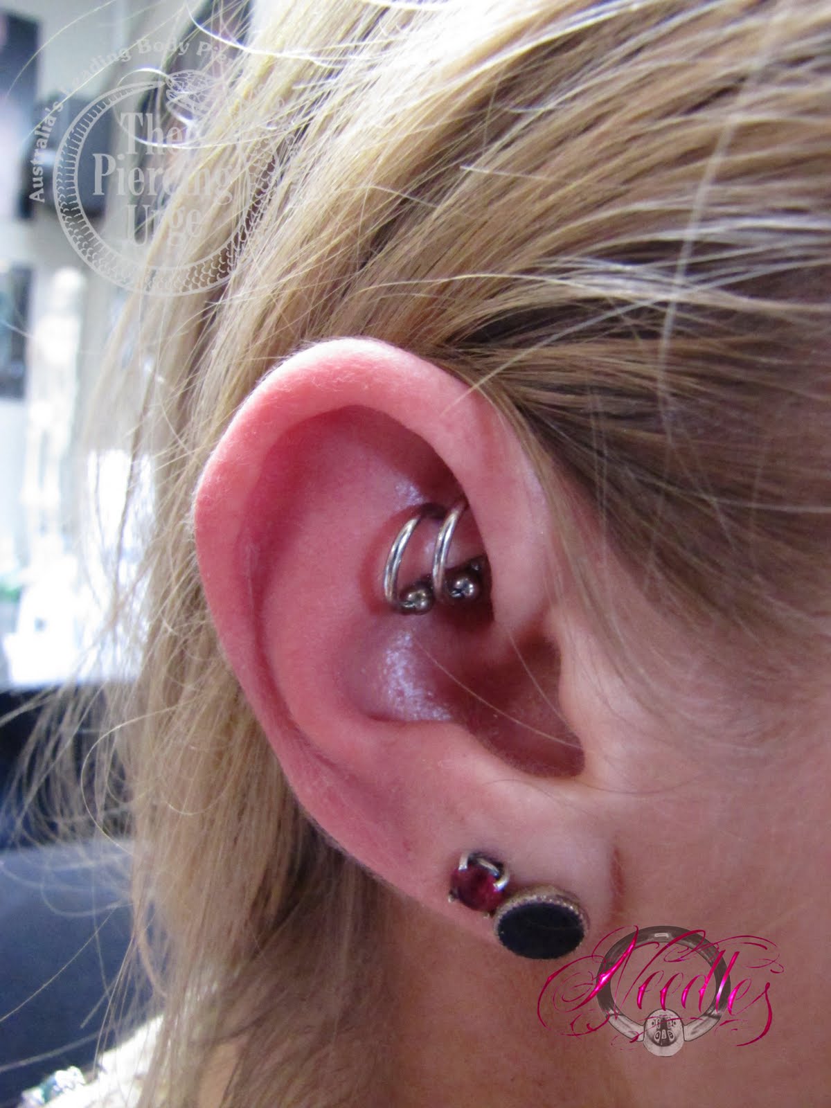 NINE BODY PIERCING BLOG Fresh 16g Double Rook piercings with 16g 5/16