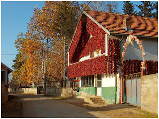 Selo Donja Lokosnica ko Leskovca