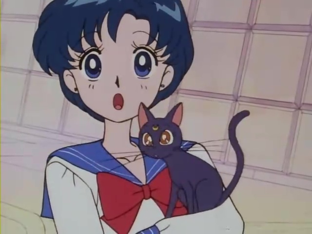 Ver Sailor Moon Sailor Moon - Capítulo 10