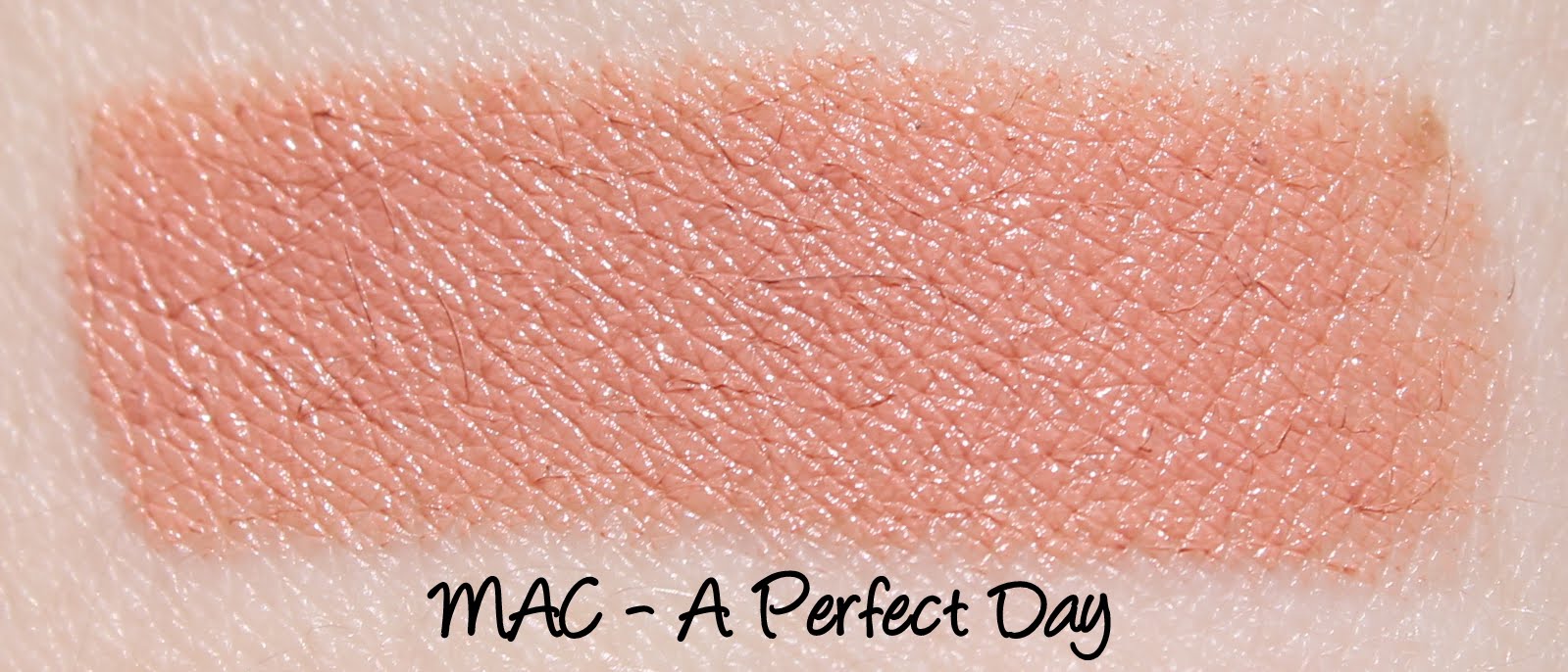 MAC Monday: A Perfect Day Lipstick Swatches & Review