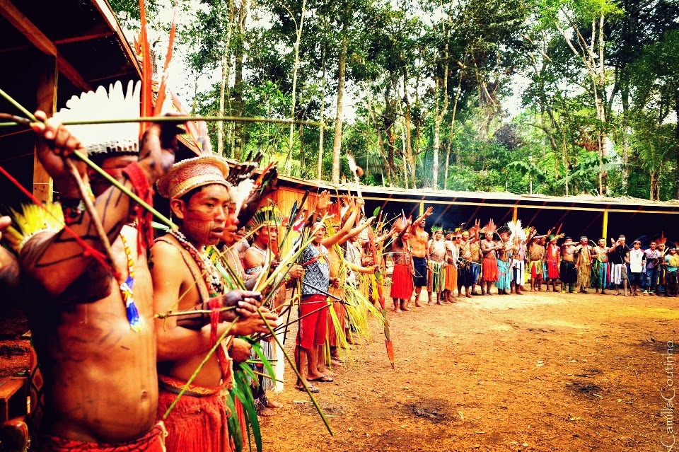 INDIJANSKE NOVIČKE: HEALERS OF CIVILIZATION