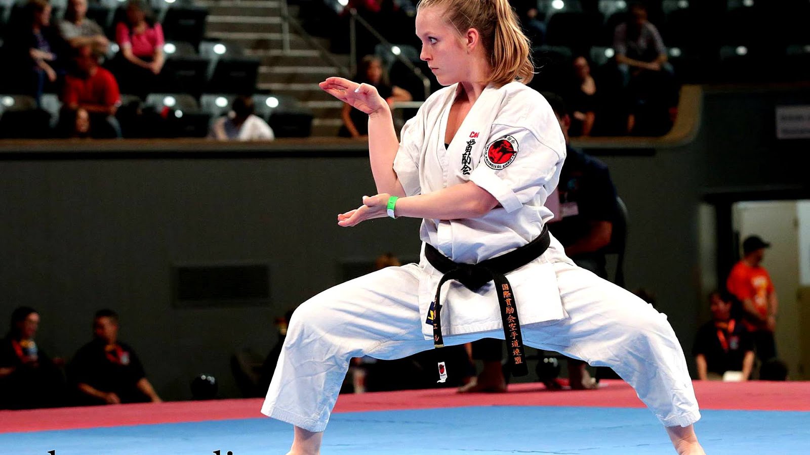 Full contact karate Karate Choices