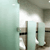 Urinal Privacy Screens