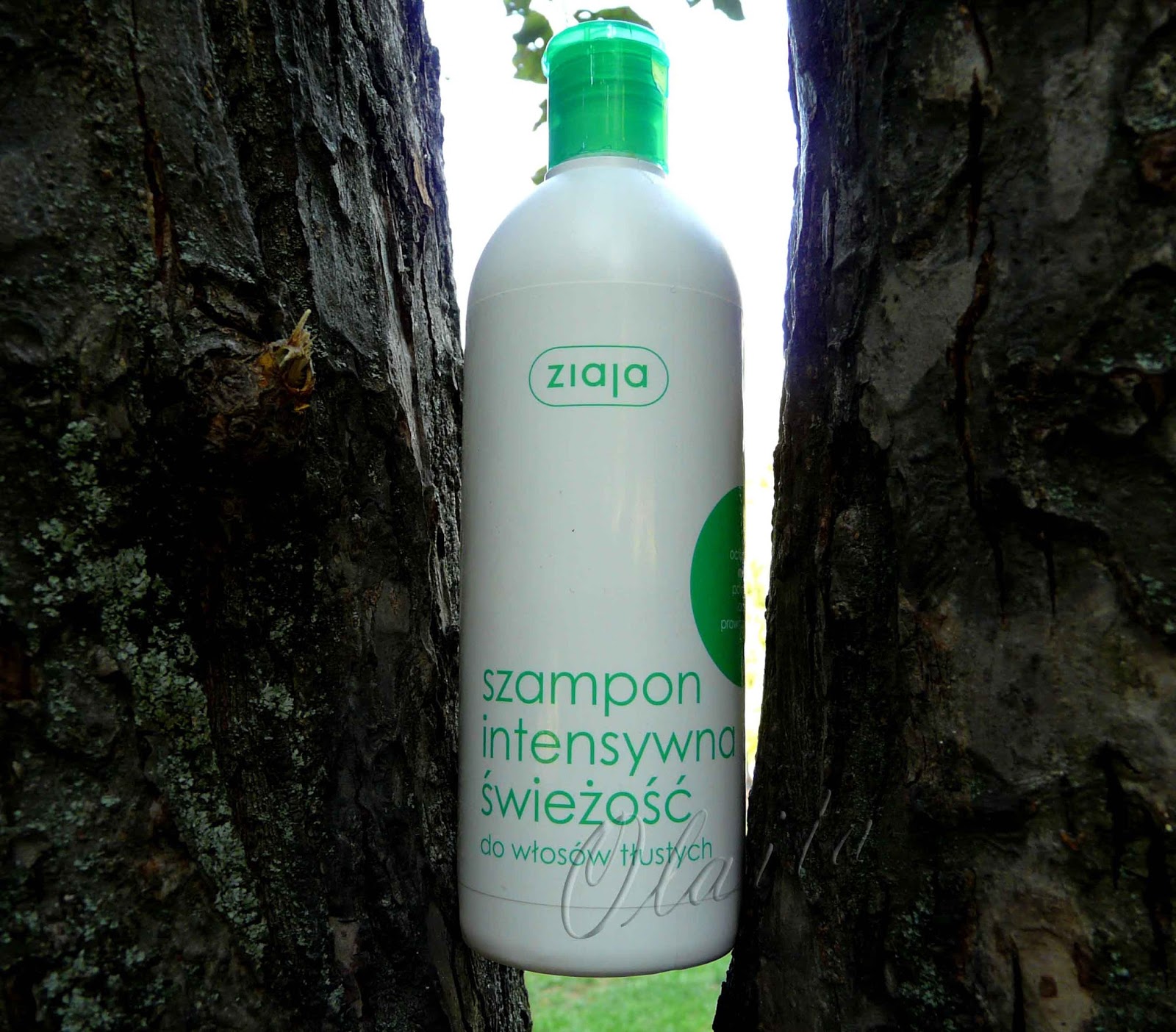 Life is wonderful Шампунь для жирных волос "Интенсивная свежесть" от