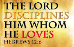 Image result for hebrew 12:5-6