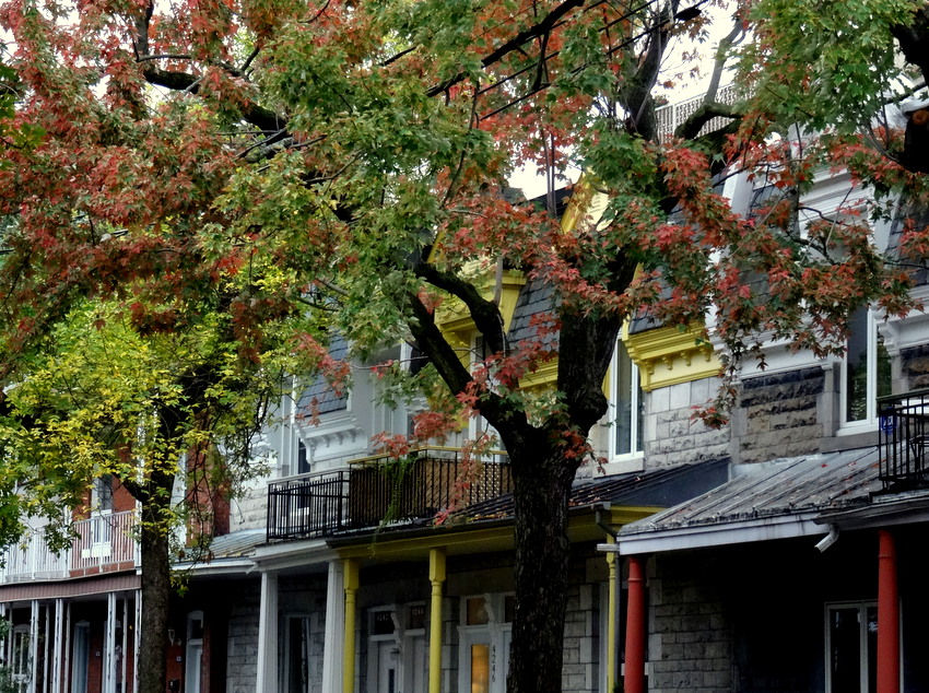 Montreal, Canada Hip Apartments of Le Plateau MontRoyal Borough