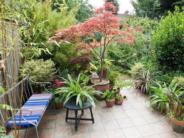 Plantar en contenedores con mucho estilo - Guia de jardin