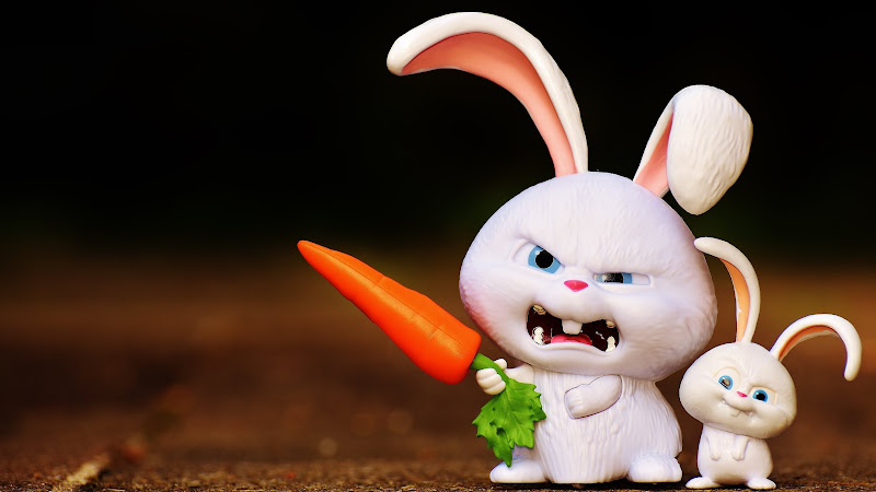Funny Bunny