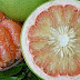Klasifikasi Jeruk Bali (Citrus maxima) thumbnail