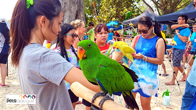 Parrot event in Singapore