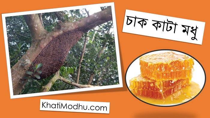 চাক কাটা প্রাকৃতিক মধু | Natural Honey chak kata modhu, khati modhu, চাক কাটা প্রাকৃতিক মধু