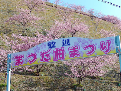 まつだ桜まつり