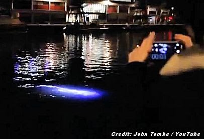 Glowing Alien-Like Creature Spotted in Bristol Harbour (1) 12-3-13