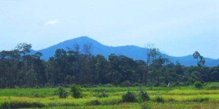 15 Tempat Wisata Paling Terkenal di Kalimantan Barat taman nasional gunung palung kalbar taman nasional gunung palung kantor kabupaten ketapang kalimantan barat taman nasional gunung palung kayong utara