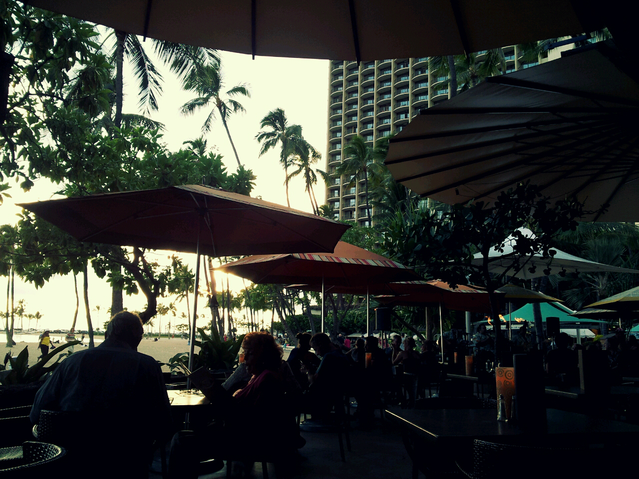 ALOHA! FROM POLARBEAR Tropics Bar & Grill