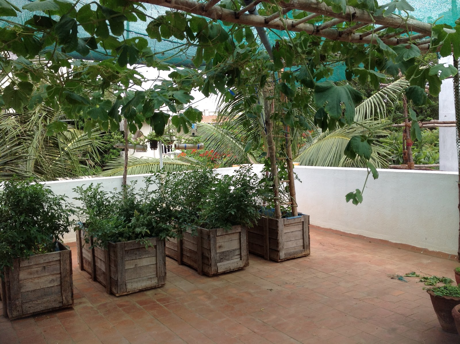 gardening ideas kerala - Landscaping design ideas - Kerala home design and floor plans - Blog ...