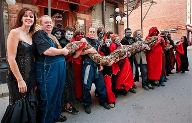 longest snake - guinness world records