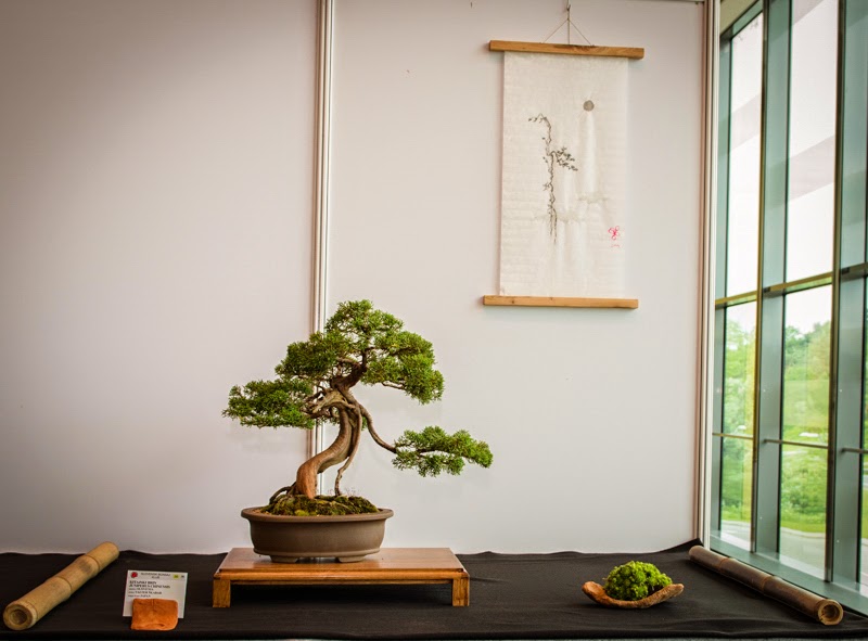 Bonsai Living Art Photos from the VI. International bonsai